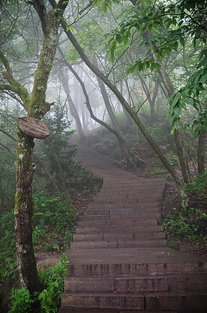 istock Fog in the mountains, Wulingyuan Scenic Area, China 515925950