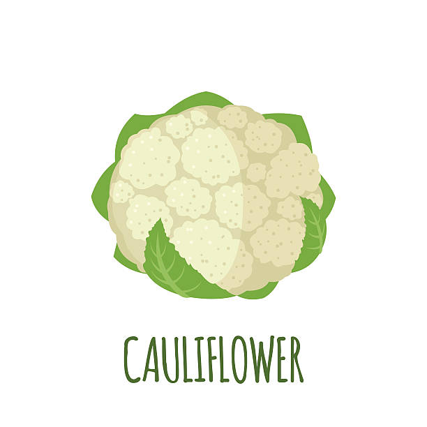 kalafiory ikony w płaskie stylu na białym tle - cauliflower stock illustrations