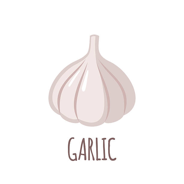 czosnek ikony w płaskie stylu na białym tle - garlic freshness isolated vegetarian food stock illustrations