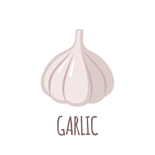 Garlic icon in flat style on white background Garlic in flat style. Garlic vector logo. Garlic icon. Isolated object. Vegetable from the garden. Organic food. Vector illustration. Garlic on white background garlic stock illustrations