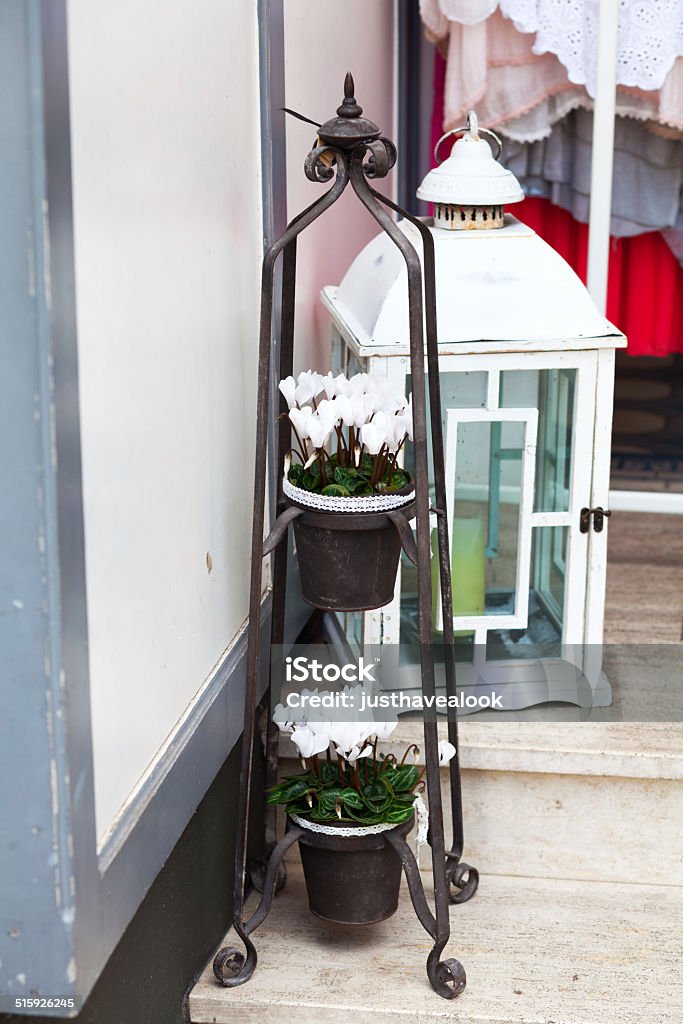 Cyclamen and lantern Blossom Stock Photo