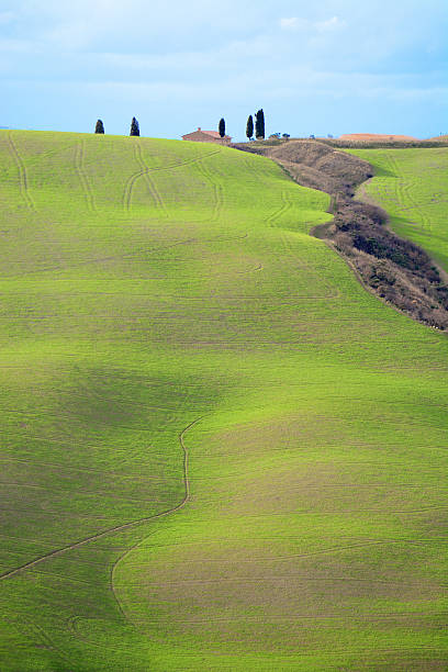 istock Beautiful Tuscany landscape 515926254