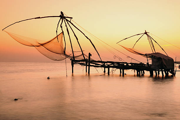 Chinese Fishing Nets at Sunset, Vypeen Island, Cochin, Kerala, India Chinese fishing nets are fixed land installations, which are used for a very unique and unusual method of fishing. Operated from the shore, these nets are set up on bamboo and teak poles and held horizontally by huge mechanisms, which lower them into the sea. They look somewhat like hammocks and are counter-weighed by large stones tied to ropes. cochin kerala india chinese fishing net stock pictures, royalty-free photos & images
