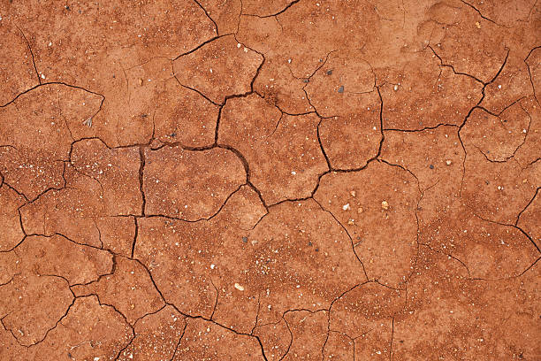 クラックトレッドクレイの土壌 - red mud ストックフォトと画像
