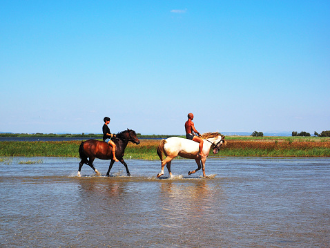 Salin de Giraud, France - July 27, 2014: Horse riders at plage de Piémanson in Salin de Giraud, France. On this plage is a large lake with shallow water.