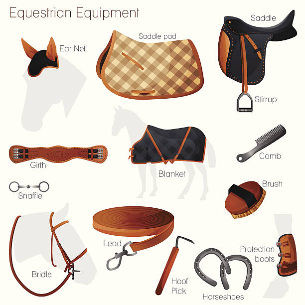 ilustrações de stock, clip art, desenhos animados e ícones de conjunto de equipamento de equestre.  vector. - saddle blanket