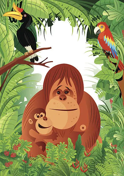 Vector illustration of Orangutan