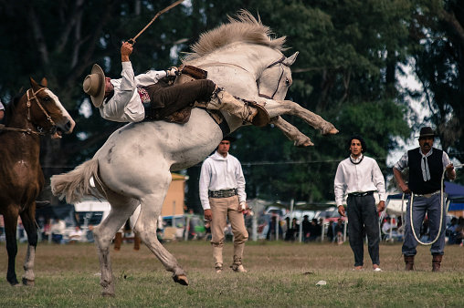 Ayacucho, Buenos Aires, Argentina - March 17, 2013: Rider competing in rodeo, trying to tame this wild horse. Classic scene Argentina. Image taken in the city of Ayacucho, Buenos Aires, Argentina. In the national holiday of the calf held in March in the city.