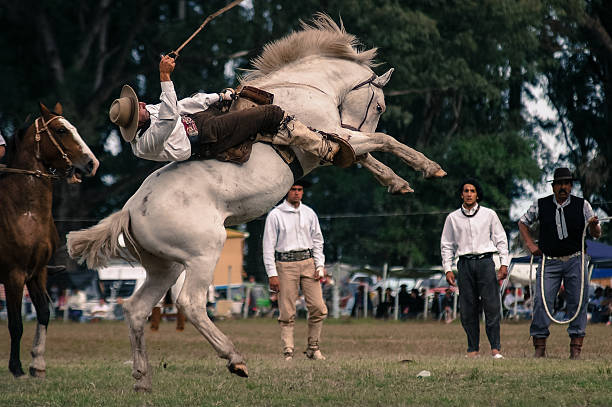 Dressage Horse Ayacucho, Buenos Aires, Argentina - March 17, 2013: Rider competing in rodeo, trying to tame this wild horse. Classic scene Argentina. Image taken in the city of Ayacucho, Buenos Aires, Argentina. In the national holiday of the calf held in March in the city. gaucho stock pictures, royalty-free photos & images