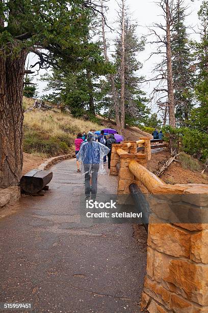 Hikers In Bryce Canyon National Park Utah Stock Photo - Download Image Now - Active Lifestyle, Adult, Bryce Canyon National Park