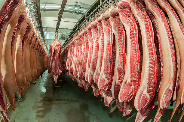 istock Fresh meat in a cold cut factory 515961149