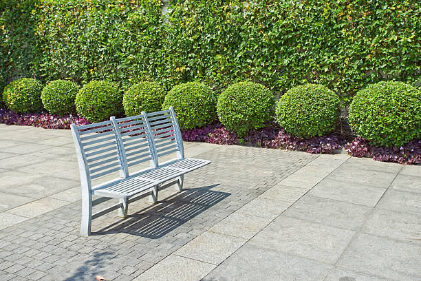 istock wooden garden bench in summer garden 515961797