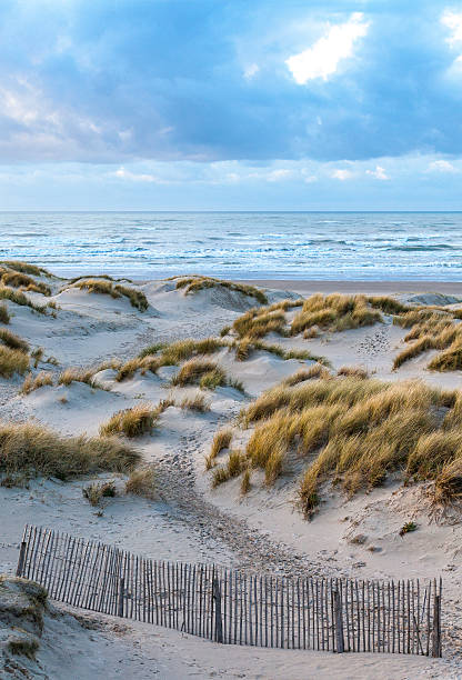 Dunes near Le Touquet