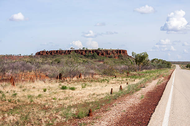 Anthills along the road in Australia's Northern Territory