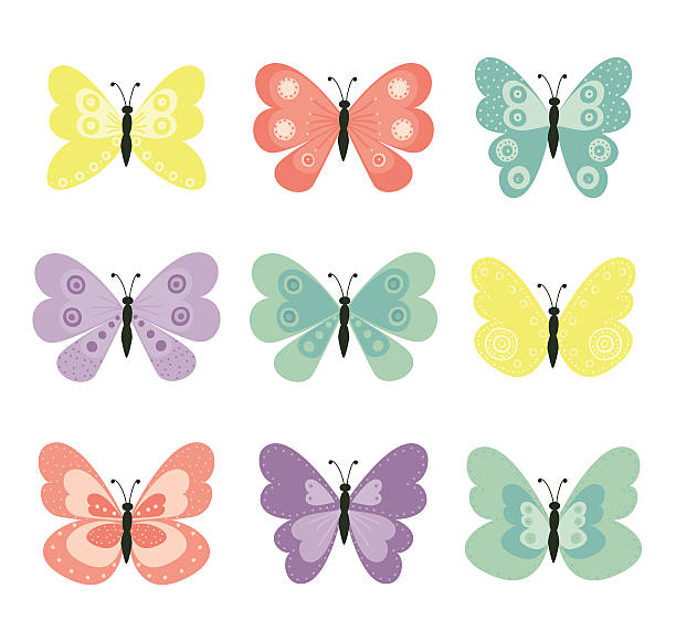 ilustraciones, imágenes clip art, dibujos animados e iconos de stock de bastidor de mariposas - motivation rock flower single flower