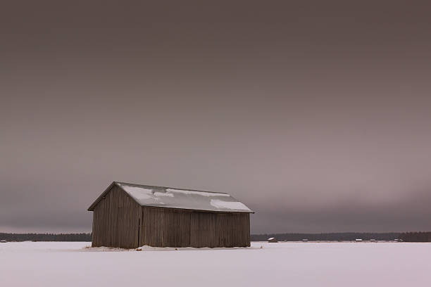 серый небо на зимний поля - winter finland agriculture barn стоковые фото и изображения