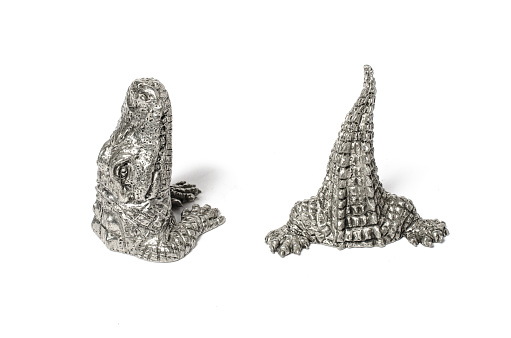 salt and pepper shakers in the form of a crocodile Isolated