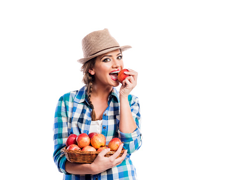 Beautiful young woman in blue checked shirt  and hat holding a basket full of apples, eating, biting. Studio shot on white background. Autumn harvest