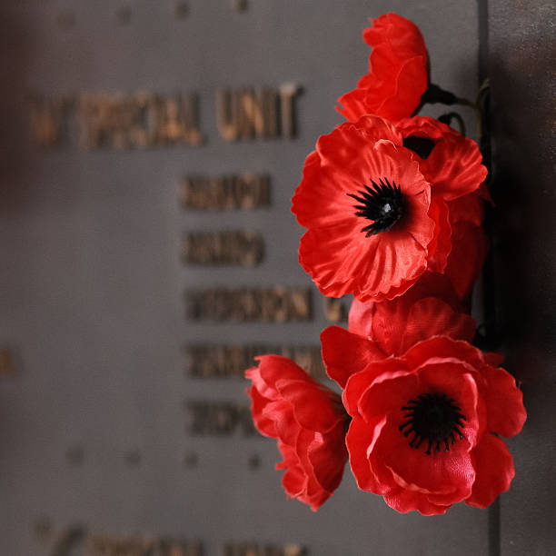 mohn auf die rolle der ehre in australien krieg gedenkstätte - kriegsdenkmal stock-fotos und bilder