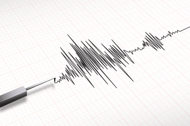 seismograph maschine erdbeben vektor - fürsorglichkeit grafiken stock-grafiken, -clipart, -cartoons und -symbole