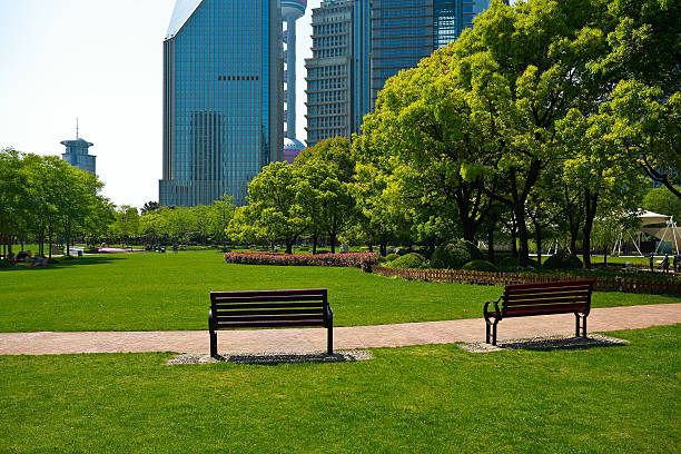 istock Park empty lawn and road with modern city buildings background 515977192