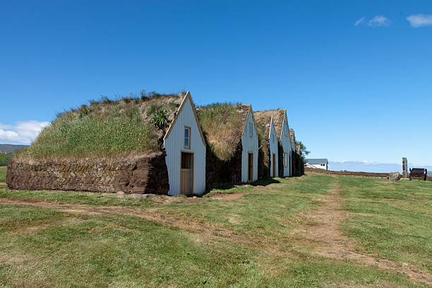 istock old scandinavian house with grass on the roof 516003822