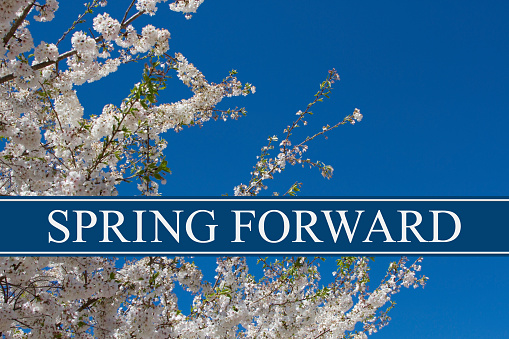 Spring Time Change, A tree in full bloom with blue sky and text Spring Forward