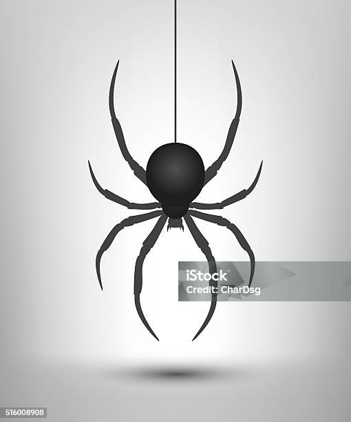 Black Spider Isolated Stock Illustration - Download Image Now - Spider, Hanging, Black Widow Spider