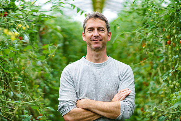 Mature adult entrepreneur standing in his small business greenhouse stock photo