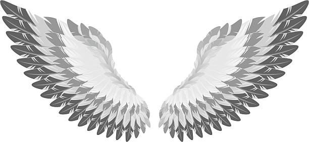 ilustrações, clipart, desenhos animados e ícones de eagle wing - artificial wing wing eagle bird