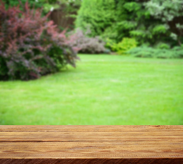 istock Defocused garden and wooden background 516013450