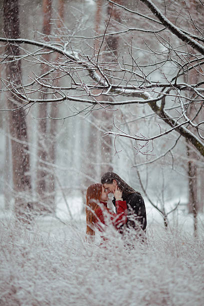 istock Winter love story in red 516013746