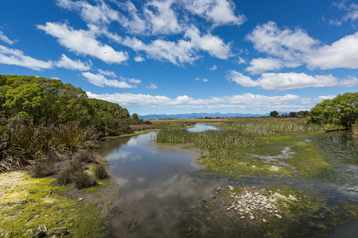 Motueka landscape near Abel Tasman National Park, South Island, New Zealand