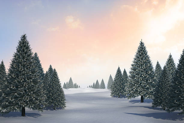 istock Snowy landscape with fir trees 516014031
