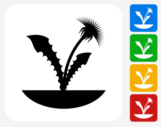 ilustrații de stoc cu plante icon flat graphic design - necultivat