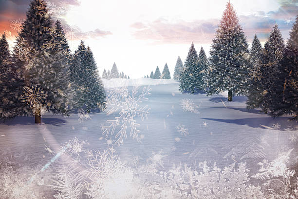 istock Snowy landscape with fir trees 516014439