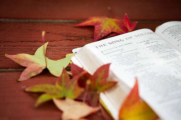 istock The Song of Solomon 516014465