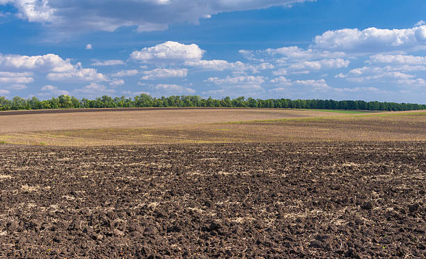 istock Agricultural landscape at fall season 516016919