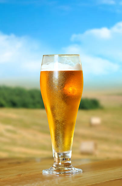 istock Glass of beer 516016981