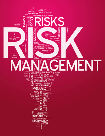 Word Cloud with Risk Management related tags