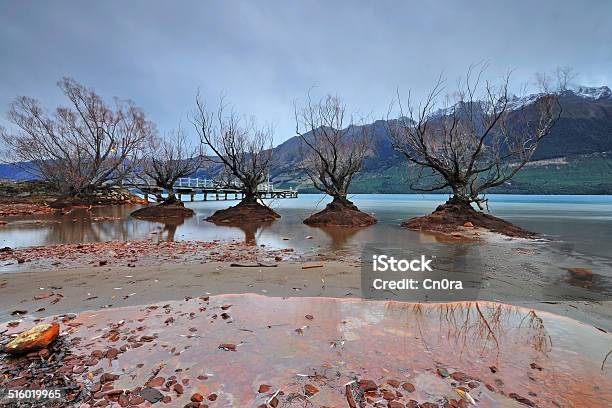 Dead Trees By Lake Wakatipu In Glenorchy Queenstown Stock Photo - Download Image Now