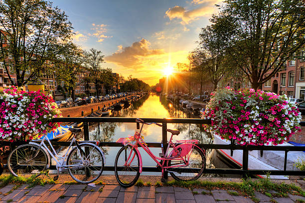 Amsterdam summer sunrise Beautiful sunrise over Amsterdam, The Netherlands, with flowers and bicycles on the bridge in spring spring scenery stock pictures, royalty-free photos & images