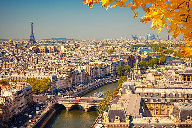 istock Aerial view of Paris 516021097