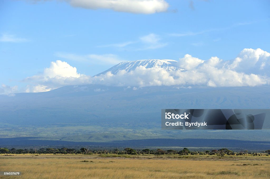 Snow on top of Mount Kilimanjaro Snow on top of Mount Kilimanjaro in Amboseli Africa Stock Photo