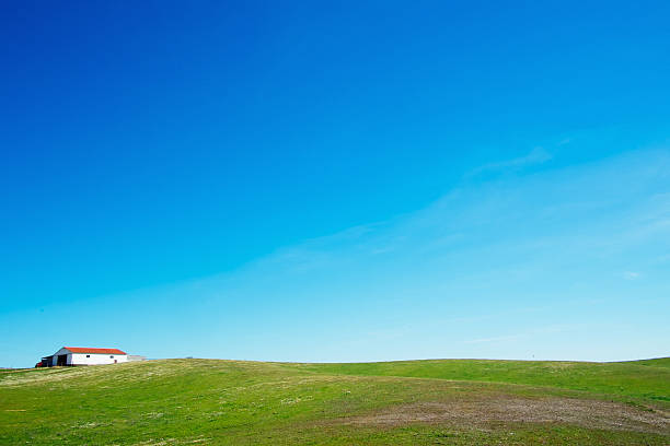 istock Landscape in Alentejo 516038464