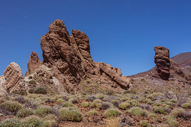 istock Teide national park. Tenerife 516038775
