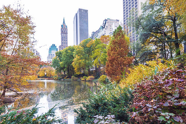 istock Central Park's Colorful Pond in the Fall 516039305