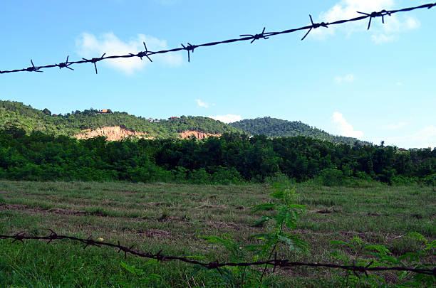 istock View through a barbwire fence in Thailand 516041410
