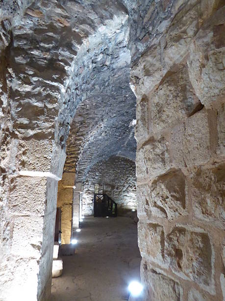 istock The castle of Ajloun 516042299