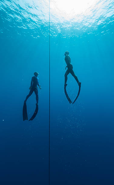 freedivers - below the surface zdjęcia i obrazy z banku zdjęć